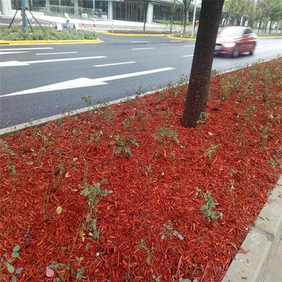 重慶園林綠化染色木屑 工廠直發(fā)，美化自然新選擇